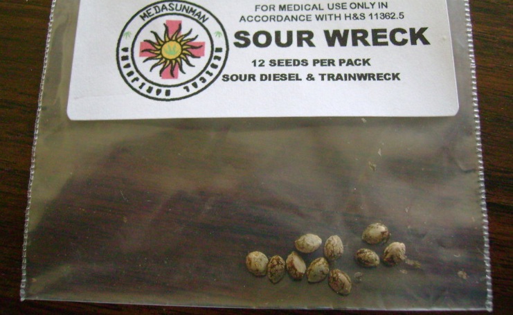Best Sour Diesel Seeds To Buy